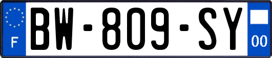 BW-809-SY