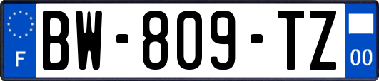 BW-809-TZ