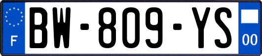 BW-809-YS