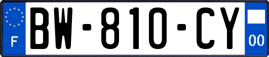 BW-810-CY