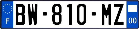 BW-810-MZ
