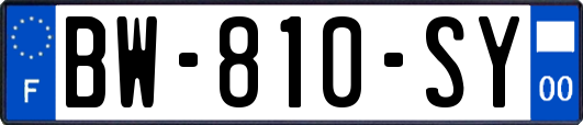 BW-810-SY