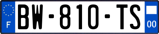 BW-810-TS