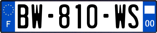 BW-810-WS