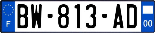 BW-813-AD