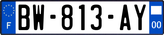 BW-813-AY