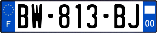 BW-813-BJ