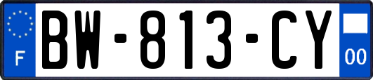 BW-813-CY