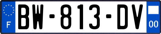 BW-813-DV