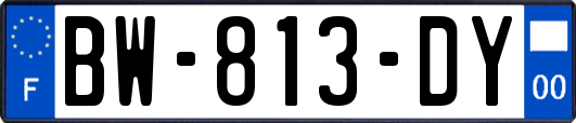 BW-813-DY