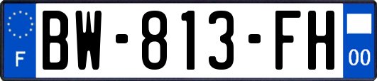 BW-813-FH