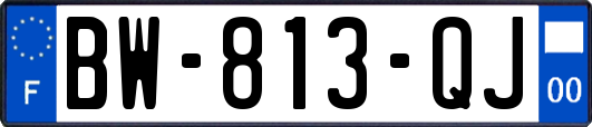 BW-813-QJ