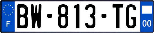 BW-813-TG
