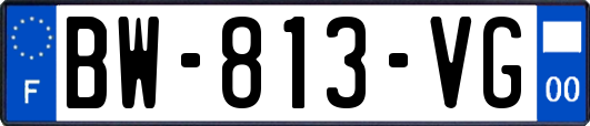 BW-813-VG