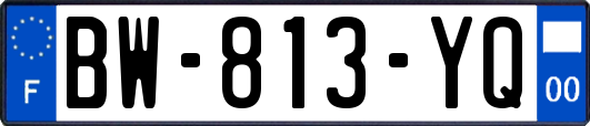 BW-813-YQ