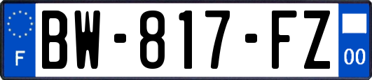 BW-817-FZ