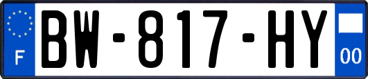 BW-817-HY