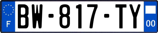 BW-817-TY