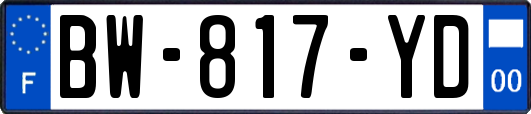 BW-817-YD