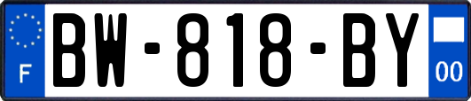 BW-818-BY