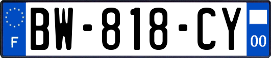 BW-818-CY