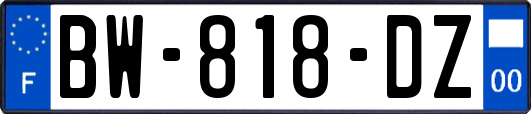 BW-818-DZ