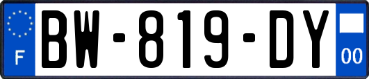 BW-819-DY