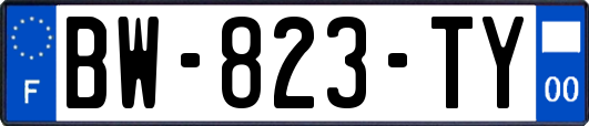 BW-823-TY