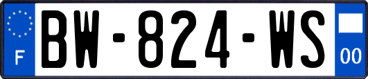 BW-824-WS