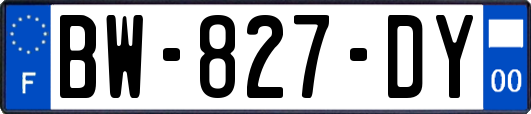 BW-827-DY