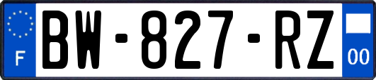 BW-827-RZ