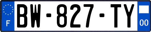 BW-827-TY