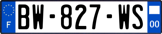 BW-827-WS
