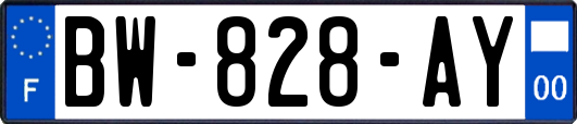 BW-828-AY