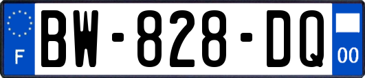 BW-828-DQ