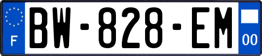 BW-828-EM