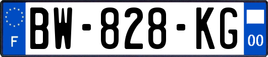 BW-828-KG