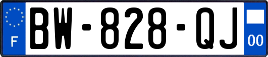 BW-828-QJ