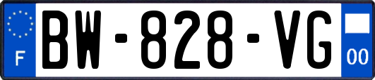 BW-828-VG