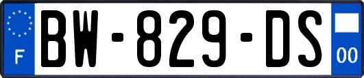 BW-829-DS