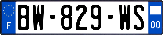 BW-829-WS