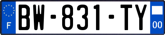 BW-831-TY