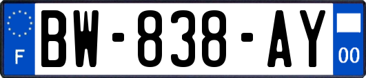 BW-838-AY