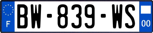 BW-839-WS