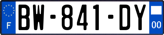 BW-841-DY