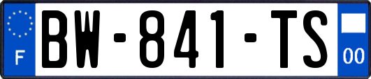 BW-841-TS