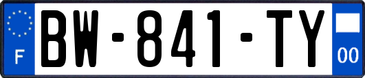 BW-841-TY