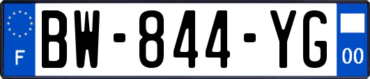 BW-844-YG