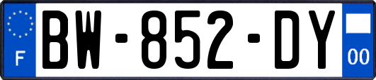 BW-852-DY