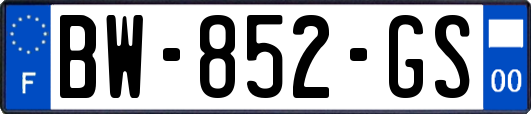 BW-852-GS